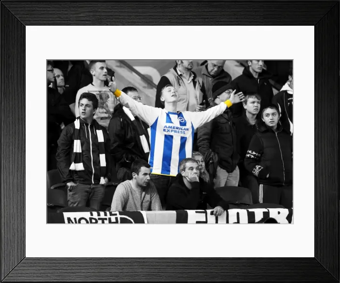 Framed Print : Brighton & Hove Albion: Electric Atmosphere - Crowd Shots from the Amex Stadium (2013-14 Season - Sheffield Wednesday Game) Framed Print : Brighton & Hove Albion: Electric Atmosphere - Crowd Shots from the Amex Stadium (2013-14 Season - Sheffield Wednesday Game)
