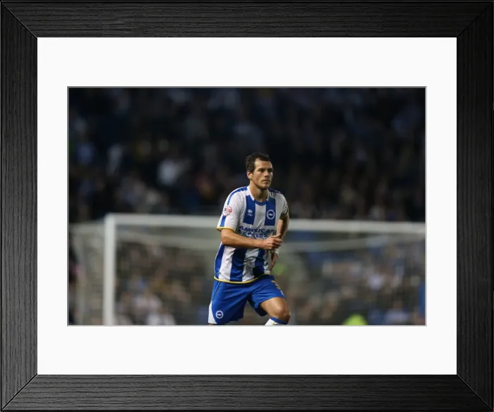 Framed Print : Brighton & Hove Albion vs. Sheffield Wednesday (2013-10-01) - Home Game from the 2013-14 Season Framed Print : Brighton & Hove Albion vs. Sheffield Wednesday (2013-10-01) - Home Game from the 2013-14 Season