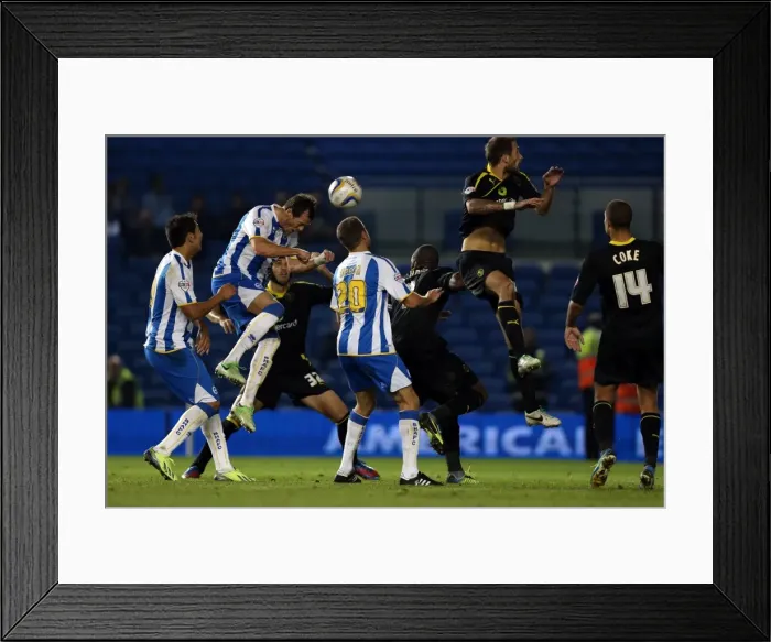 Framed Print : Brighton & Hove Albion vs. Sheffield Wednesday (2013-10-01) - Home Game, 2013-14 Season Framed Print : Brighton & Hove Albion vs. Sheffield Wednesday (2013-10-01) - Home Game, 2013-14 Season