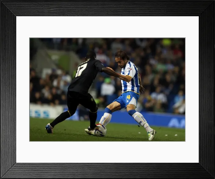 Framed Print : Brighton & Hove Albion vs. Sheffield Wednesday (2013-10-01) - Home Game, 2013-14 Season Framed Print : Brighton & Hove Albion vs. Sheffield Wednesday (2013-10-01) - Home Game, 2013-14 Season