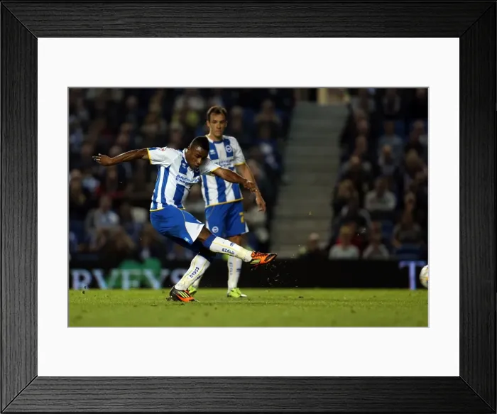 Framed Print : Brighton & Hove Albion vs. Sheffield Wednesday (1-10-2013): 2013-14 Home Game Framed Print : Brighton & Hove Albion vs. Sheffield Wednesday (1-10-2013): 2013-14 Home Game