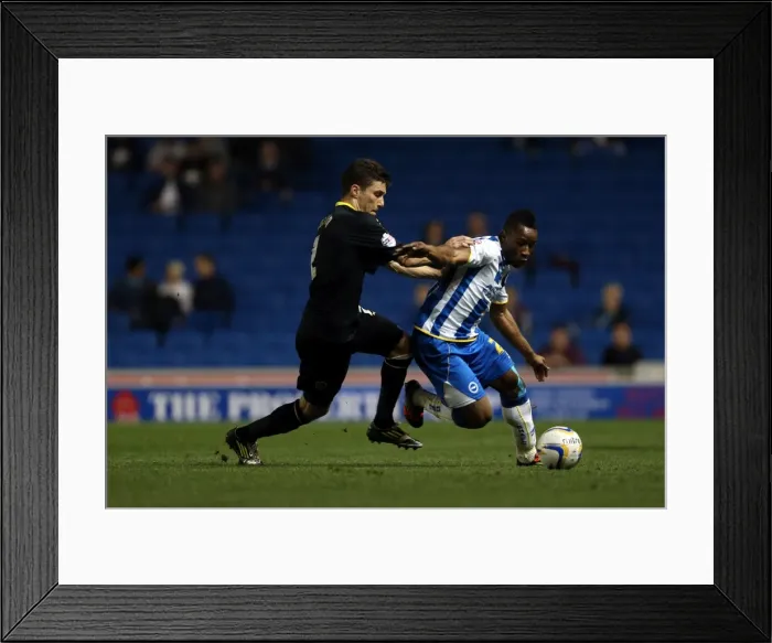 Framed Print : Brighton & Hove Albion vs. Sheffield Wednesday (2013-14 Season) - Home Game Highlights (October 1, 2013) Framed Print : Brighton & Hove Albion vs. Sheffield Wednesday (2013-14 Season) - Home Game Highlights (October 1, 2013)