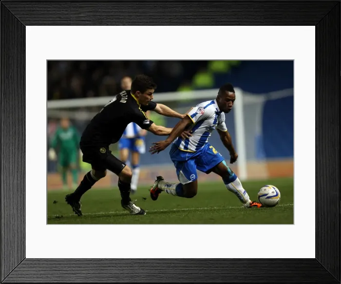 Framed Print : Brighton & Hove Albion vs. Sheffield Wednesday (2013-10-01) - Home Game from the 2013-14 Season Framed Print : Brighton & Hove Albion vs. Sheffield Wednesday (2013-10-01) - Home Game from the 2013-14 Season