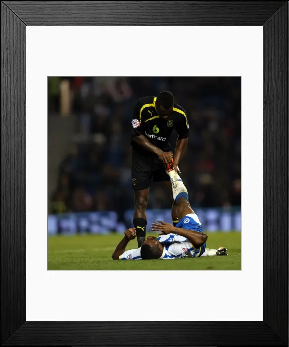 Framed Print : Brighton & Hove Albion vs. Sheffield Wednesday (2013-10-01) - Home Game, 2013-14 Season Framed Print : Brighton & Hove Albion vs. Sheffield Wednesday (2013-10-01) - Home Game, 2013-14 Season
