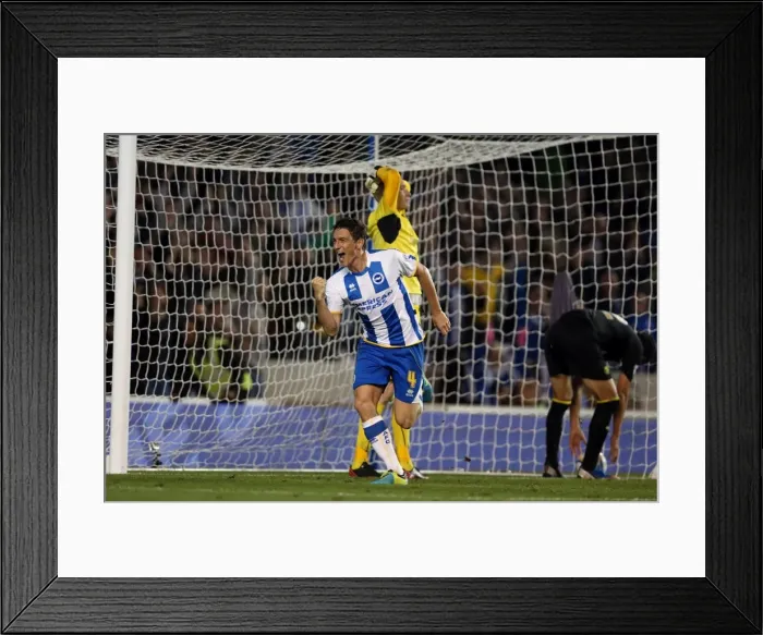Framed Print : Brighton & Hove Albion vs. Sheffield Wednesday (2013-10-01) - A Home Game from the 2013-14 Season Framed Print : Brighton & Hove Albion vs. Sheffield Wednesday (2013-10-01) - A Home Game from the 2013-14 Season