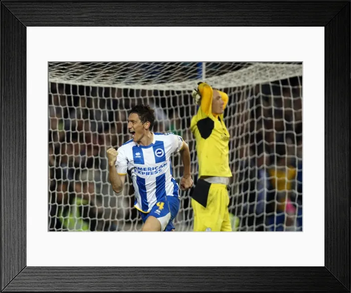 Framed Print : Brighton & Hove Albion vs. Sheffield Wednesday (2013-10-01) - A Home Game from the 2013-14 Season Framed Print : Brighton & Hove Albion vs. Sheffield Wednesday (2013-10-01) - A Home Game from the 2013-14 Season
