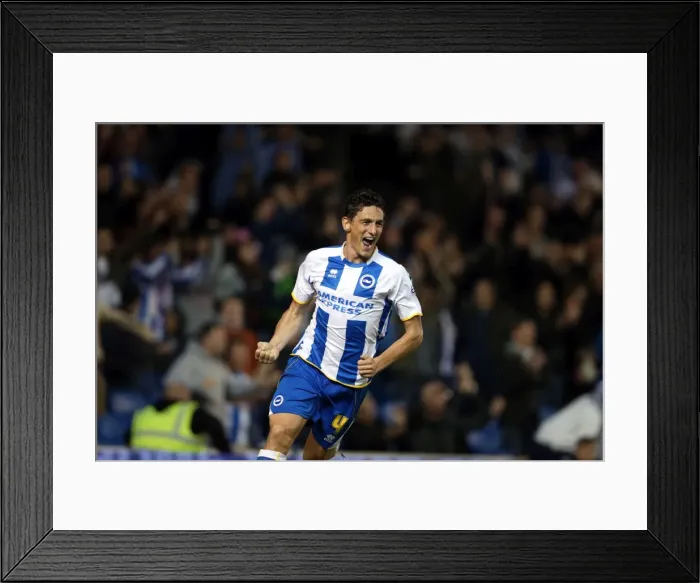 Framed Print : Brighton & Hove Albion vs. Sheffield Wednesday: Home Game - October 1, 2013 (Season 2013-14) Framed Print : Brighton & Hove Albion vs. Sheffield Wednesday: Home Game - October 1, 2013 (Season 2013-14)