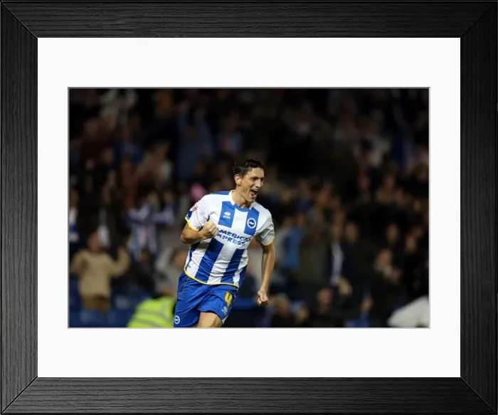 Framed Print : Brighton & Hove Albion vs. Sheffield Wednesday (2013-10-01) - Home Game, 2013-14 Season Framed Print : Brighton & Hove Albion vs. Sheffield Wednesday (2013-10-01) - Home Game, 2013-14 Season