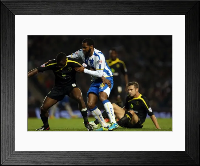 Framed Print : Brighton & Hove Albion vs. Sheffield Wednesday: 1-1 Home Stalemate (2013-14 Season) Framed Print : Brighton & Hove Albion vs. Sheffield Wednesday: 1-1 Home Stalemate (2013-14 Season)