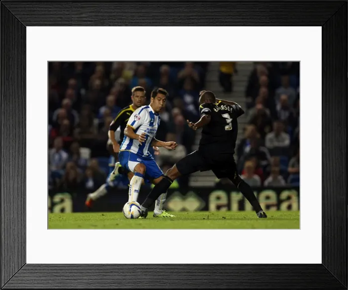 Framed Print : Brighton & Hove Albion vs. Sheffield Wednesday (2013-10-01) - Home Game from the 2013-14 Season Framed Print : Brighton & Hove Albion vs. Sheffield Wednesday (2013-10-01) - Home Game from the 2013-14 Season