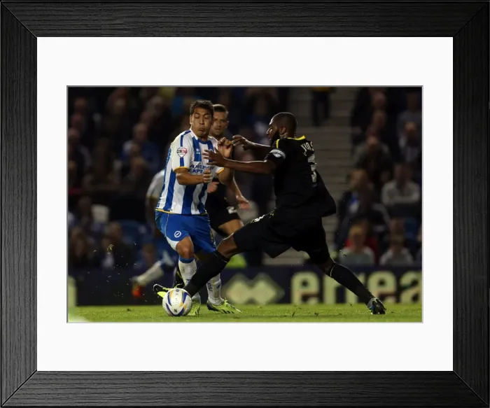 Framed Print : Brighton & Hove Albion vs. Sheffield Wednesday (2013-10-01) - A Home Game from the 2013-14 Season Framed Print : Brighton & Hove Albion vs. Sheffield Wednesday (2013-10-01) - A Home Game from the 2013-14 Season