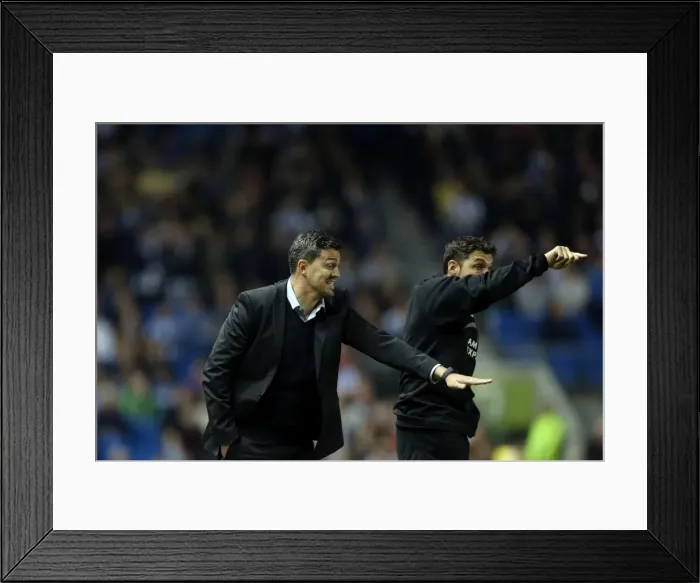 Framed Print : Brighton & Hove Albion vs. Sheffield Wednesday (2013-10-01) - Home Game from the 2013-14 Season Framed Print : Brighton & Hove Albion vs. Sheffield Wednesday (2013-10-01) - Home Game from the 2013-14 Season