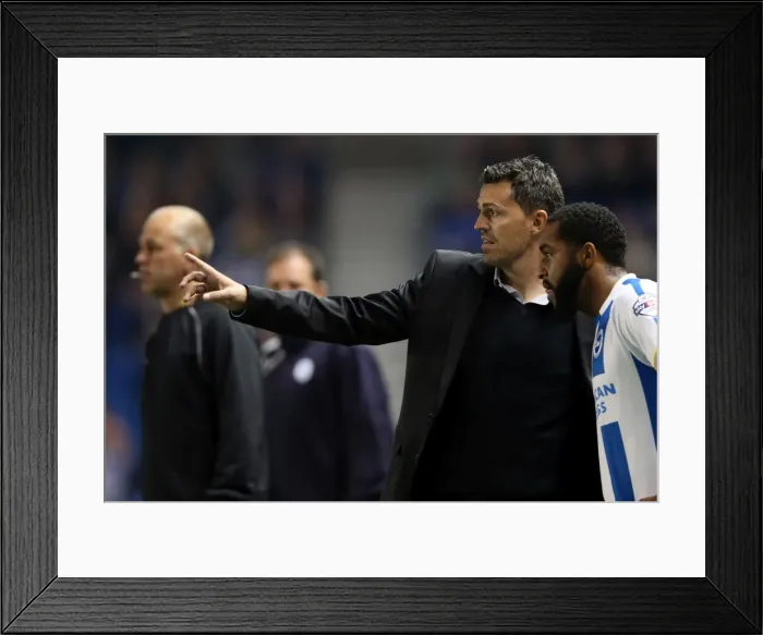 Framed Print : Brighton & Hove Albion vs. Sheffield Wednesday (2013-10-01) - Home Game from the 2013-14 Season Framed Print : Brighton & Hove Albion vs. Sheffield Wednesday (2013-10-01) - Home Game from the 2013-14 Season