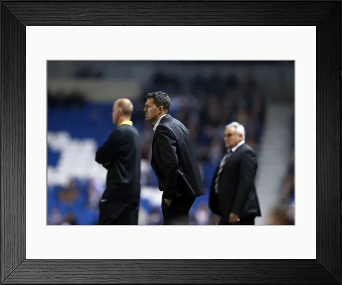 Framed Print : Brighton & Hove Albion vs. Sheffield Wednesday (2013-10-01) - Home Game, 2013-14 Season