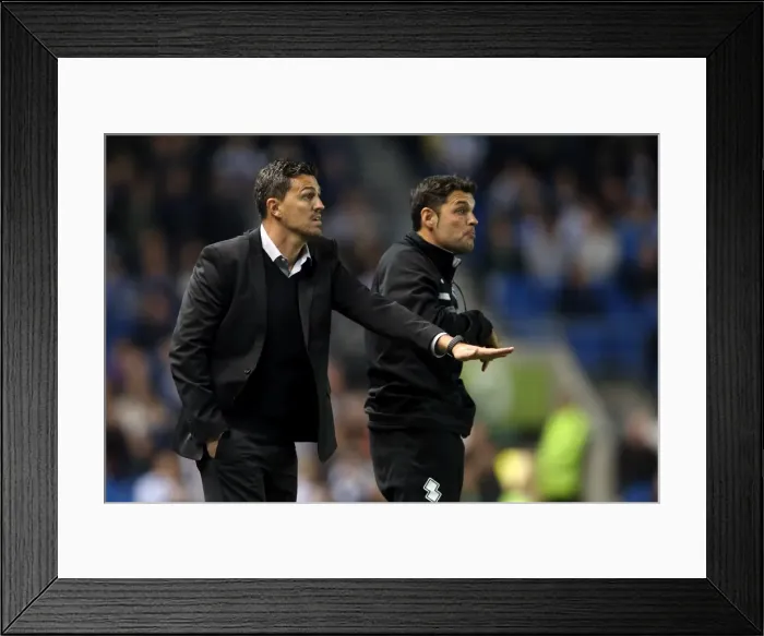 Framed Print : Brighton & Hove Albion vs. Sheffield Wednesday (2013-10-01) - Home Game from the 2013-14 Season Framed Print : Brighton & Hove Albion vs. Sheffield Wednesday (2013-10-01) - Home Game from the 2013-14 Season