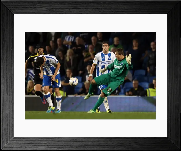 Framed Print : Brighton & Hove Albion vs. Sheffield Wednesday (2013-10-01) - Home Game, 2013-14 Season Framed Print : Brighton & Hove Albion vs. Sheffield Wednesday (2013-10-01) - Home Game, 2013-14 Season