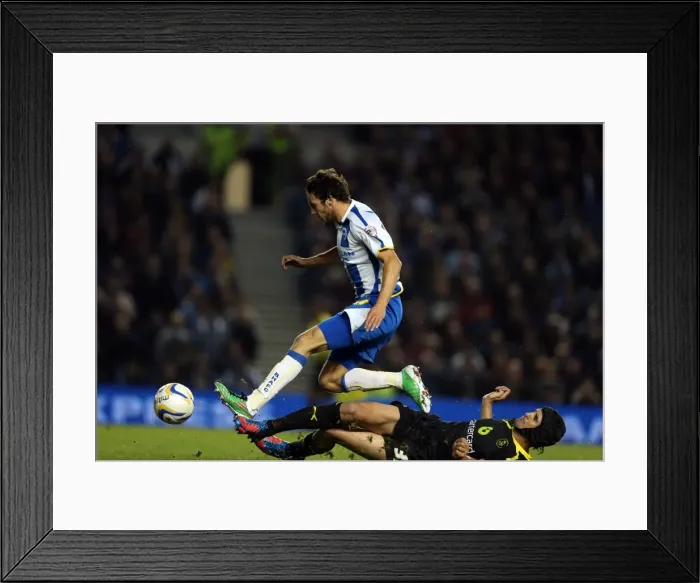 Framed Print : Brighton & Hove Albion vs. Sheffield Wednesday (2013-10-01) - Home Game, 2013-14 Season Framed Print : Brighton & Hove Albion vs. Sheffield Wednesday (2013-10-01) - Home Game, 2013-14 Season