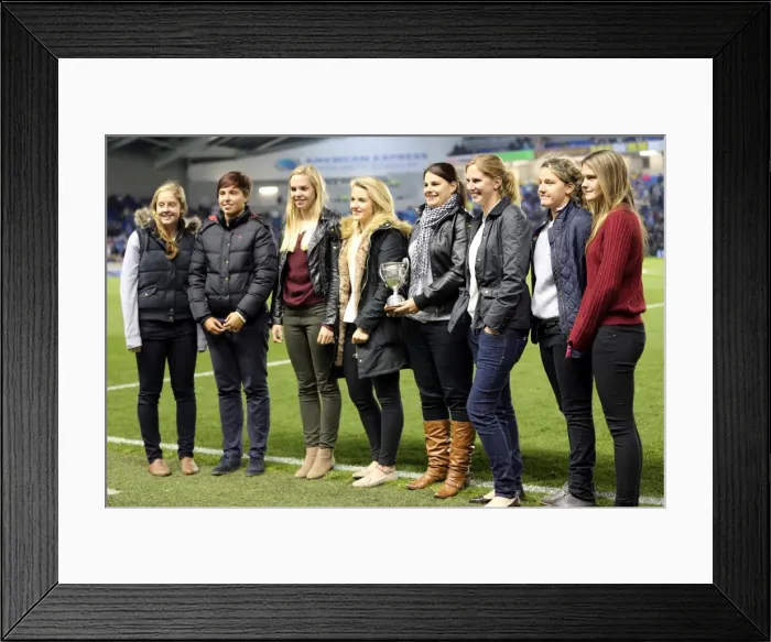 Framed Print : Brighton & Hove Albion vs. Sheffield Wednesday: Home Victory (October 1, 2013) - 2013-14 Season Framed Print : Brighton & Hove Albion vs. Sheffield Wednesday: Home Victory (October 1, 2013) - 2013-14 Season