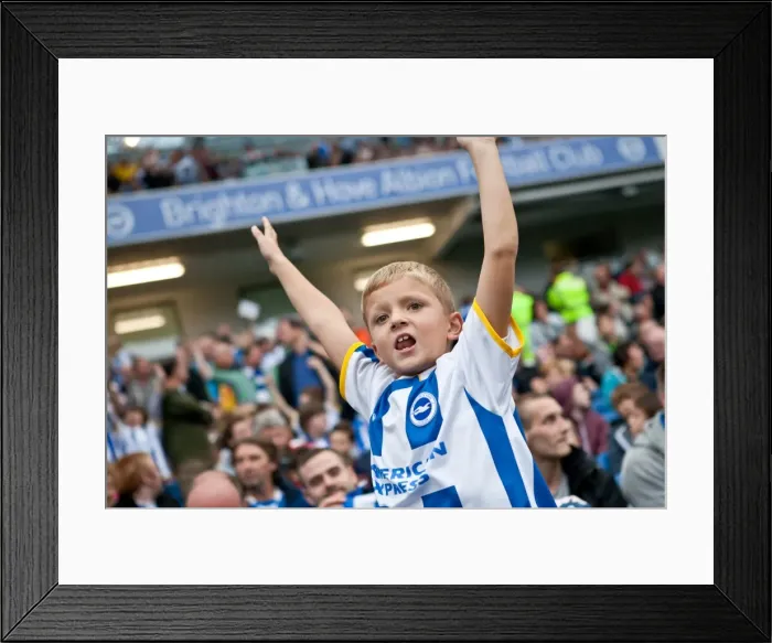 Framed Print : Brighton & Hove Albion vs. Nottingham Forest: Home Battle (2013-14 Season) Framed Print : Brighton & Hove Albion vs. Nottingham Forest: Home Battle (2013-14 Season)