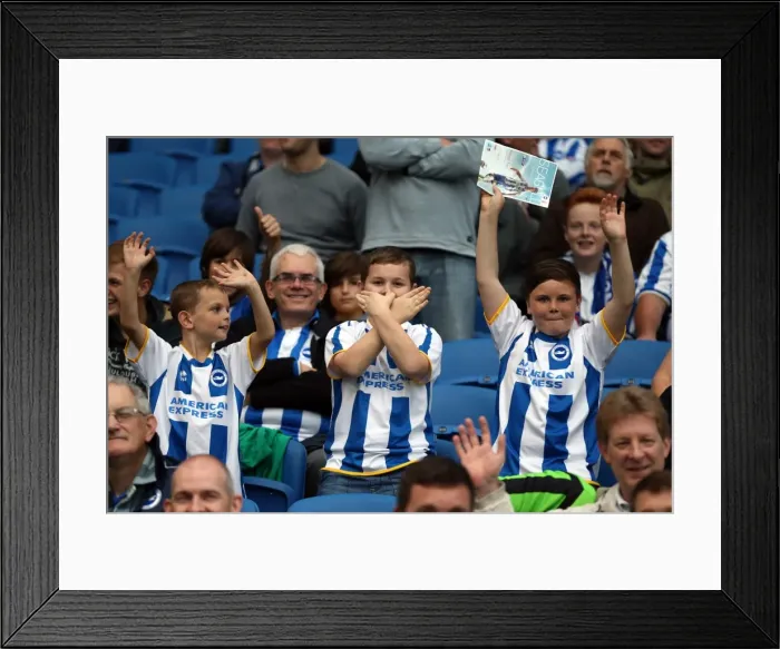 Framed Print : Brighton and Hove Albion: Thrilling Crowds at the Amex Stadium (Nottingham Forest Game, October 2013) Framed Print : Brighton and Hove Albion: Thrilling Crowds at the Amex Stadium (Nottingham Forest Game, October 2013)