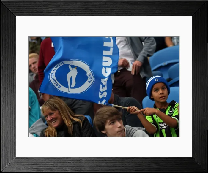 Framed Print : Brighton & Hove Albion: Thrilling 5-1 Victory over Nottingham Forest (2013-14 Season) Framed Print : Brighton & Hove Albion: Thrilling 5-1 Victory over Nottingham Forest (2013-14 Season)