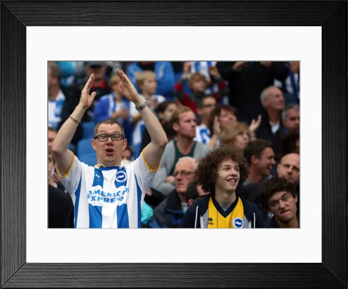 Framed Print : Brighton & Hove Albion vs. Nottingham Forest: A 5-1 Home Victory (October 5, 2013) Framed Print : Brighton & Hove Albion vs. Nottingham Forest: A 5-1 Home Victory (October 5, 2013)