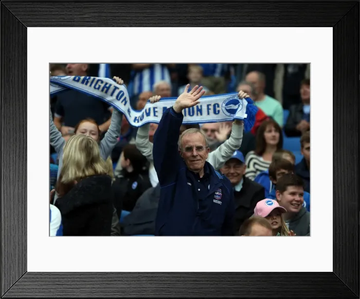 Framed Print : Brighton & Hove Albion vs. Nottingham Forest: Home Battle (2013-14 Season) Framed Print : Brighton & Hove Albion vs. Nottingham Forest: Home Battle (2013-14 Season)