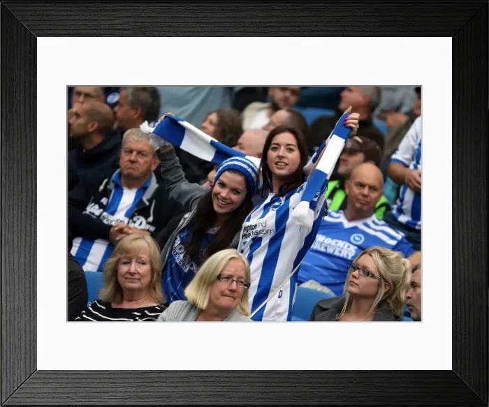 Framed Print : Brighton and Hove Albion FC: Electric Atmosphere at the Amex Stadium - 2013-14 Season (Nottingham Forest Game)