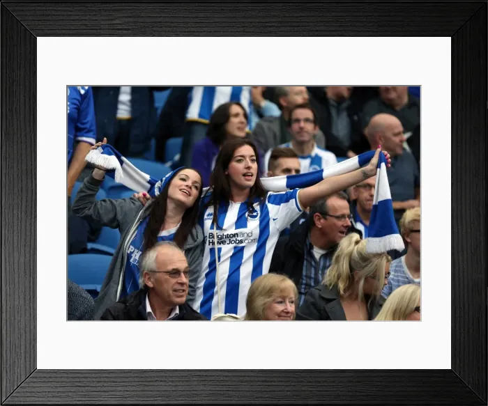 Framed Print : Brighton & Hove Albion vs. Nottingham Forest: Home Battle (2013-14 Season) Framed Print : Brighton & Hove Albion vs. Nottingham Forest: Home Battle (2013-14 Season)