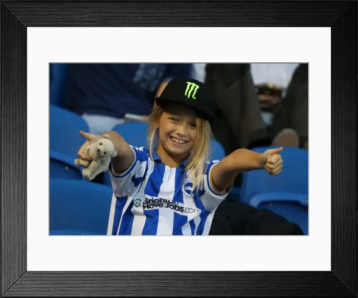 Framed Print : Brighton And Hove Albion Season 2013-14: 2013-14 Home Games: Nottingham Forest - 05-10-2013 Framed Print : Brighton And Hove Albion Season 2013-14: 2013-14 Home Games: Nottingham Forest - 05-10-2013
