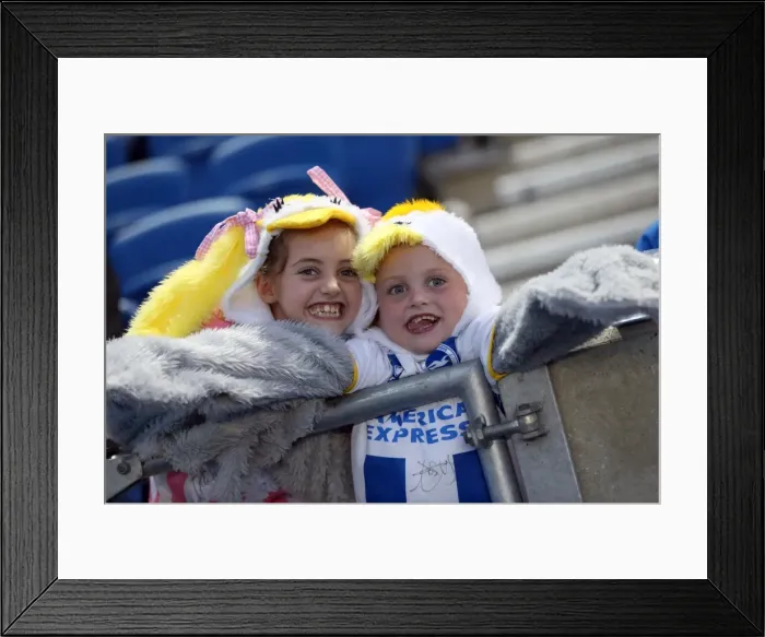 Framed Print : Brighton & Hove Albion 5-0 Nottingham Forest: A Home Victory (5-10-2013) - Season 2013-14 Framed Print : Brighton & Hove Albion 5-0 Nottingham Forest: A Home Victory (5-10-2013) - Season 2013-14