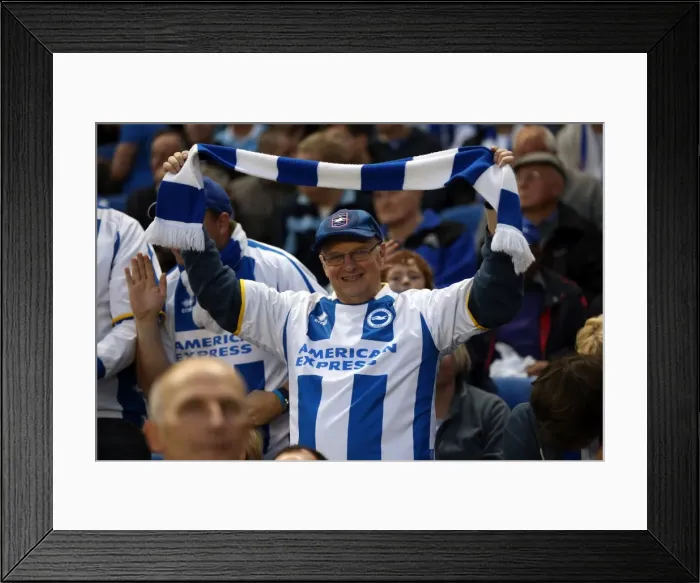 Framed Print : Brighton & Hove Albion: Electric Atmosphere - Fans in Full Force at the Amex Stadium (2013-14 Season, Nottingham Forest Game) Framed Print : Brighton & Hove Albion: Electric Atmosphere - Fans in Full Force at the Amex Stadium (2013-14 Season, Nottingham Forest Game)