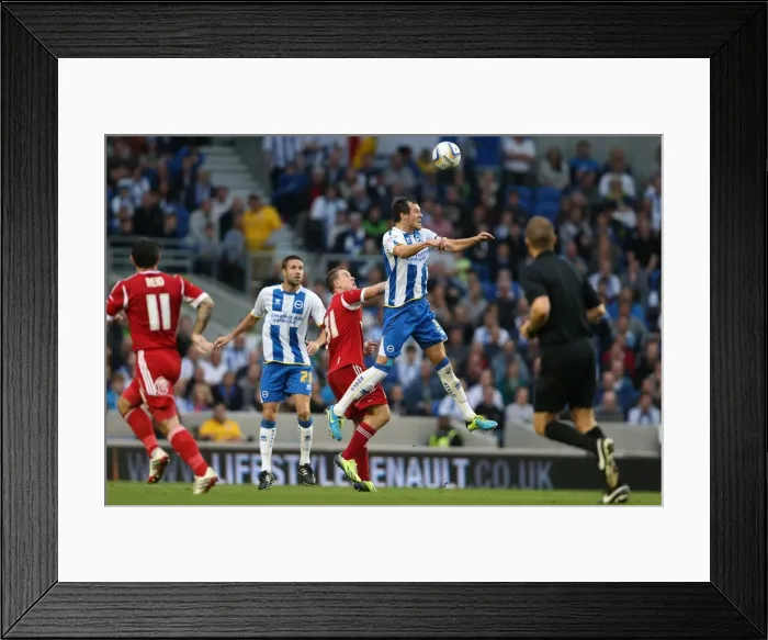 Framed Print : Brighton & Hove Albion vs. Nottingham Forest: 5-10-2013 - A Home Victory from the 2013-14 Season: 5-0 Framed Print : Brighton & Hove Albion vs. Nottingham Forest: 5-10-2013 - A Home Victory from the 2013-14 Season: 5-0