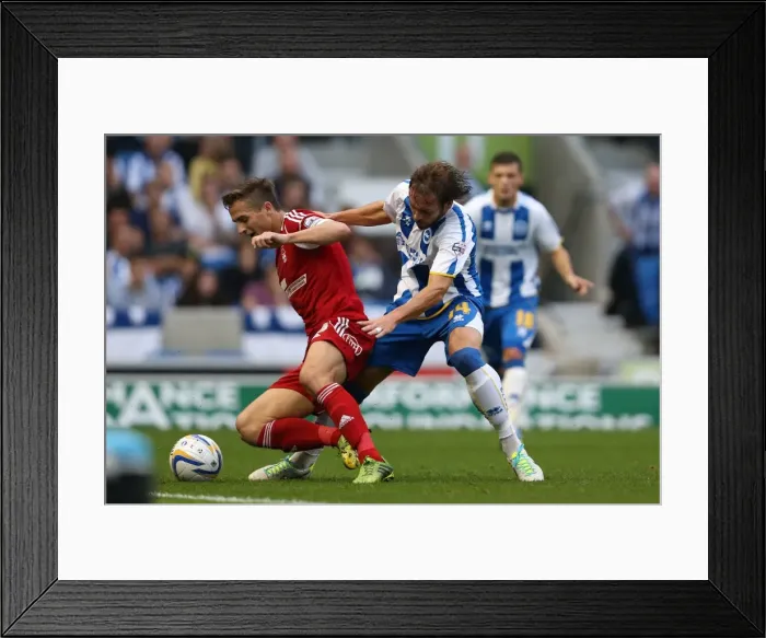 Framed Print : Brighton & Hove Albion vs. Nottingham Forest: Home Game - October 5, 2013 Framed Print : Brighton & Hove Albion vs. Nottingham Forest: Home Game - October 5, 2013
