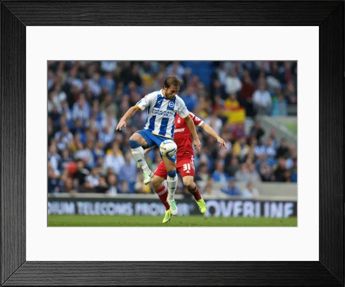 Framed Print : Brighton & Hove Albion vs. Nottingham Forest: Home Battle (2013-14 Season) Framed Print : Brighton & Hove Albion vs. Nottingham Forest: Home Battle (2013-14 Season)