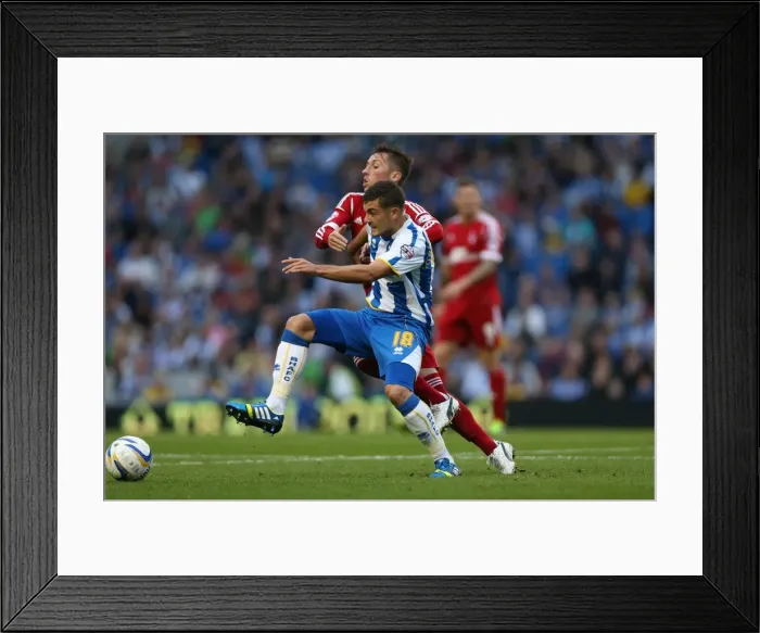 Framed Print : Brighton & Hove Albion vs. Nottingham Forest: A Home Victory (5-10-2013) - Season 2013-14 Framed Print : Brighton & Hove Albion vs. Nottingham Forest: A Home Victory (5-10-2013) - Season 2013-14