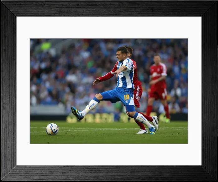 Framed Print : Brighton & Hove Albion vs. Nottingham Forest (2013-14 Home Game) Framed Print : Brighton & Hove Albion vs. Nottingham Forest (2013-14 Home Game)