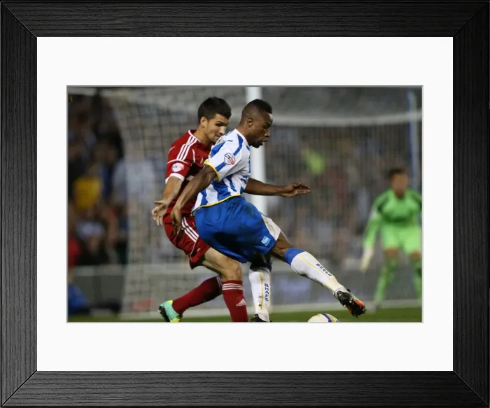 Framed Print : Brighton & Hove Albion vs. Nottingham Forest (2013-14 Home Game) Framed Print : Brighton & Hove Albion vs. Nottingham Forest (2013-14 Home Game)