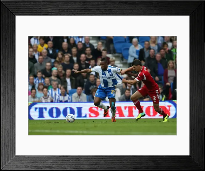 Framed Print : Brighton & Hove Albion vs. Nottingham Forest: Home Battle (2013-14 Season) Framed Print : Brighton & Hove Albion vs. Nottingham Forest: Home Battle (2013-14 Season)