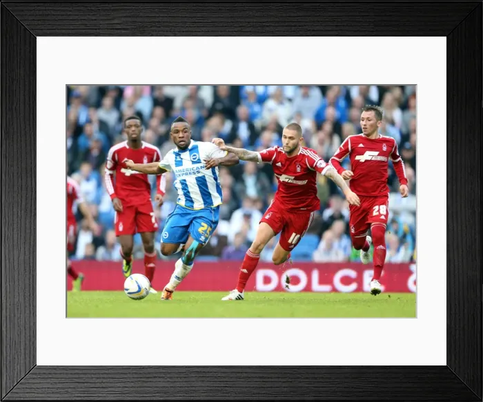 Framed Print : Brighton & Hove Albion vs. Nottingham Forest: Home Battle (2013-14 Season) Framed Print : Brighton & Hove Albion vs. Nottingham Forest: Home Battle (2013-14 Season)