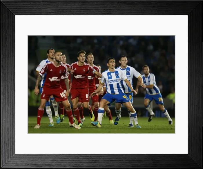 Framed Print : Brighton & Hove Albion vs. Nottingham Forest: A 5-10-2013 Home Game - 5-0 Seaside Victory Framed Print : Brighton & Hove Albion vs. Nottingham Forest: A 5-10-2013 Home Game - 5-0 Seaside Victory