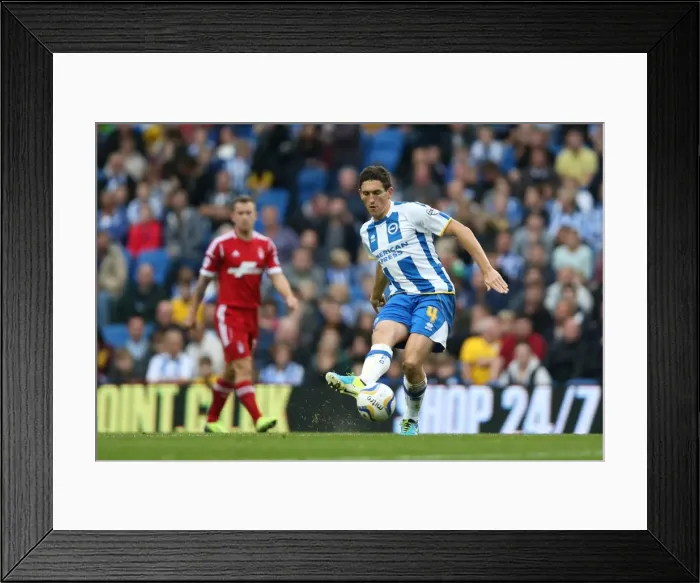 Framed Print : Brighton & Hove Albion vs. Nottingham Forest: Home Game (October 5, 2013) Framed Print : Brighton & Hove Albion vs. Nottingham Forest: Home Game (October 5, 2013)
