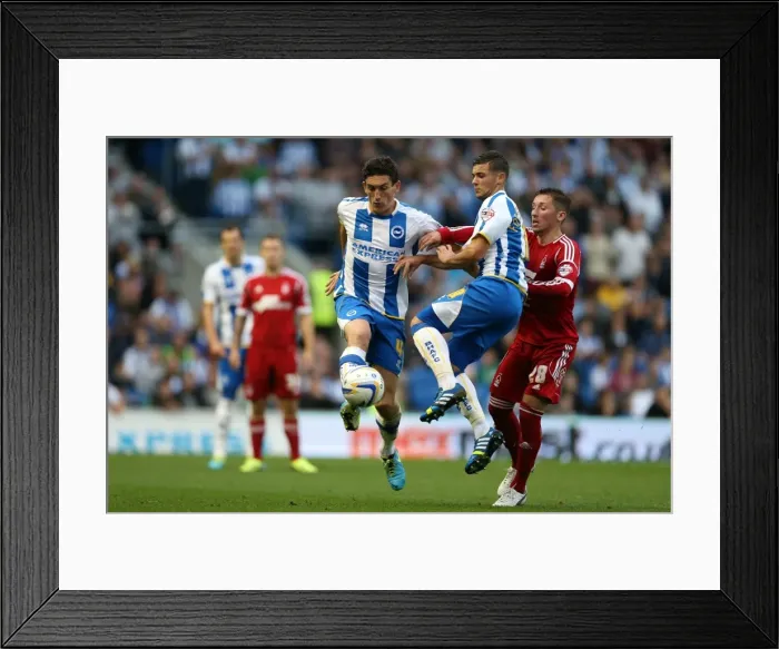 Framed Print : Brighton & Hove Albion vs. Nottingham Forest: Home Game (October 5, 2013) Framed Print : Brighton & Hove Albion vs. Nottingham Forest: Home Game (October 5, 2013)