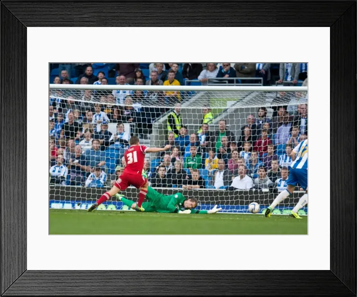 Framed Print : Brighton & Hove Albion vs. Nottingham Forest (2013-14 Home Game)