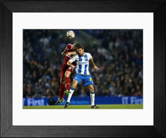 Framed Print : Brighton & Hove Albion vs. Nottingham Forest (05-10-2013): 2013-14 Home Game Framed Print : Brighton & Hove Albion vs. Nottingham Forest (05-10-2013): 2013-14 Home Game