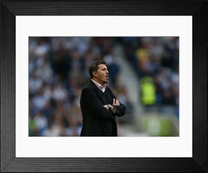 Framed Print : Brighton & Hove Albion vs. Nottingham Forest: Home Game, 2013-14 Season (5th October 2013) Framed Print : Brighton & Hove Albion vs. Nottingham Forest: Home Game, 2013-14 Season (5th October 2013)