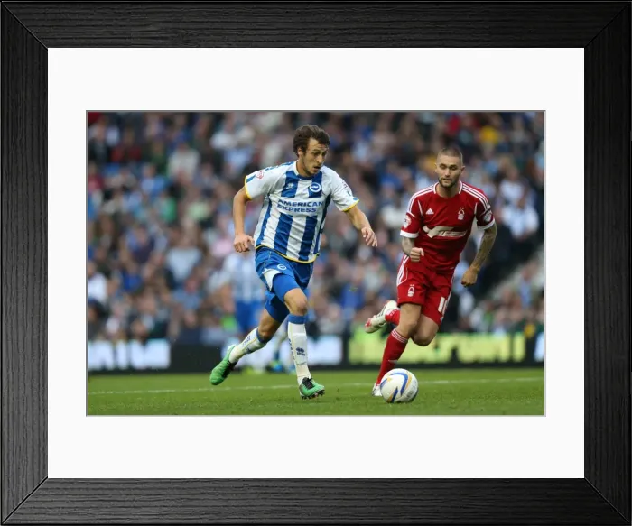 Framed Print : Brighton & Hove Albion vs. Nottingham Forest: Home Game (October 5, 2013) Framed Print : Brighton & Hove Albion vs. Nottingham Forest: Home Game (October 5, 2013)