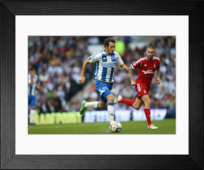 Framed Print : Brighton & Hove Albion vs. Nottingham Forest: 5-10-2013 - A Memorable Home Victory (2013-14 Season) Framed Print : Brighton & Hove Albion vs. Nottingham Forest: 5-10-2013 - A Memorable Home Victory (2013-14 Season)