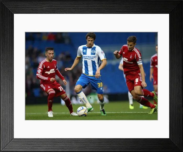 Framed Print : Brighton & Hove Albion vs. Nottingham Forest: Home Battle (2013-14 Season) Framed Print : Brighton & Hove Albion vs. Nottingham Forest: Home Battle (2013-14 Season)