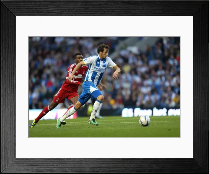 Framed Print : Brighton & Hove Albion vs. Nottingham Forest (2013-14 Home Game) Framed Print : Brighton & Hove Albion vs. Nottingham Forest (2013-14 Home Game)